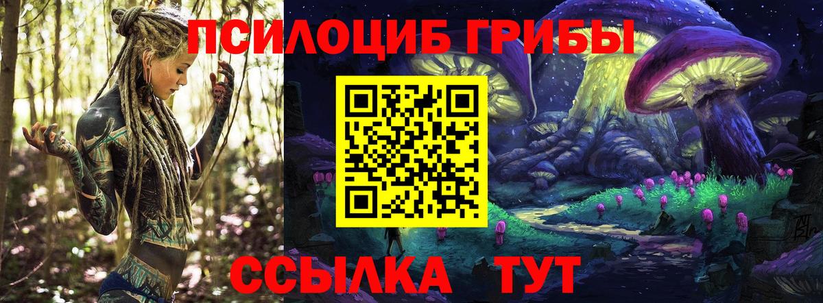 Псилоцибиновые грибы Cubensis Скопин