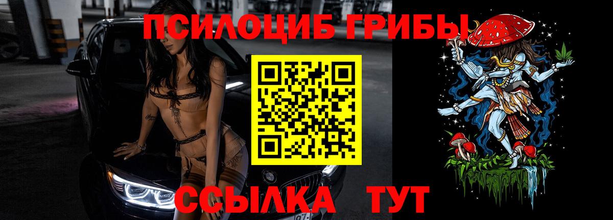 Скопин  где найти наркотики  Вход с VPN  Псилоцибиновые грибы Psilocybe 